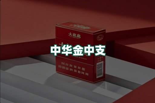 中华金中支